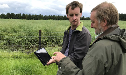Conducting a farm audit